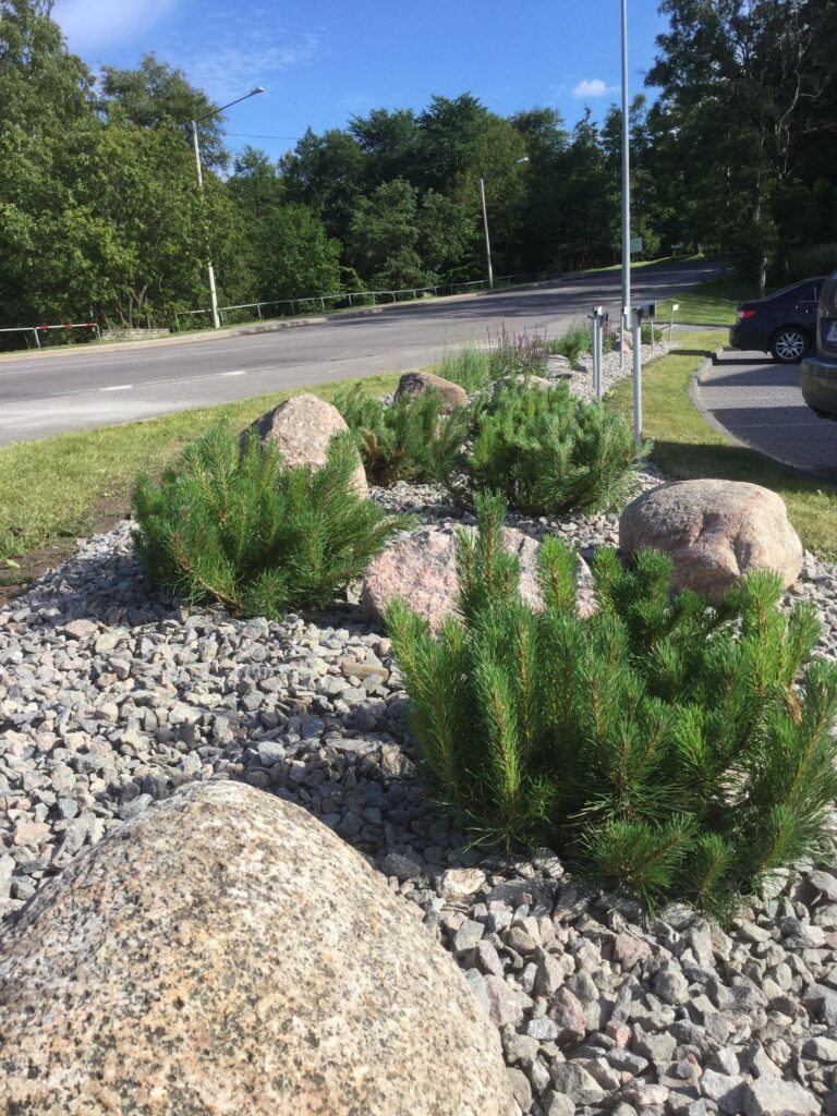 Ärihoone haljastuse lahendus