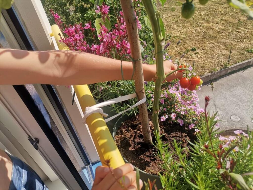 Mini ürdiaed Prantsuse tüüpi rõdule